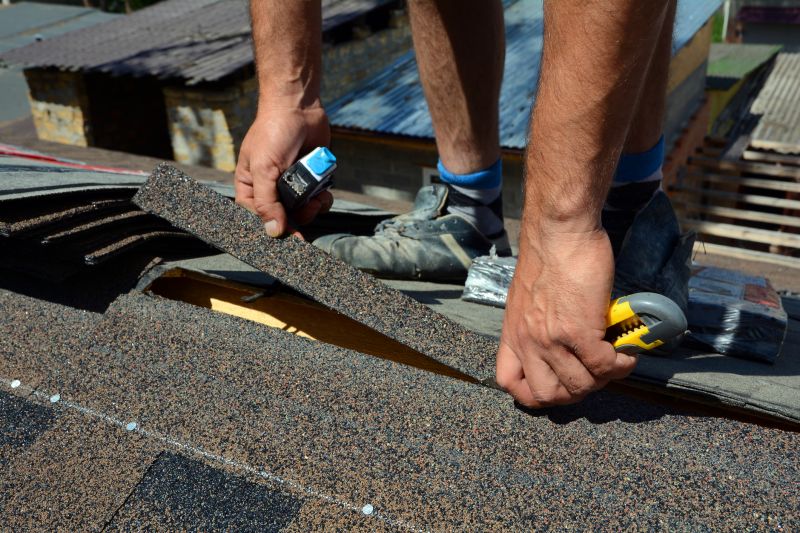 Professional Shingle Repair